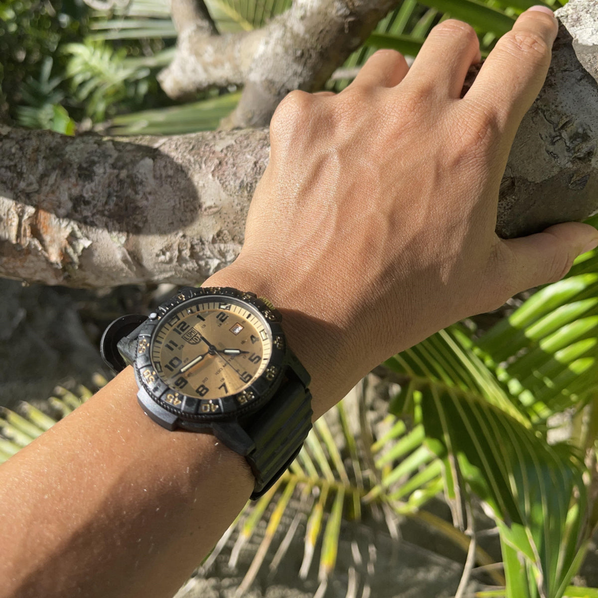 Luminox Leatherback Sea Turtle Giant Series Gold Dial Black PU Strap Men's Watch XS.0325.GP