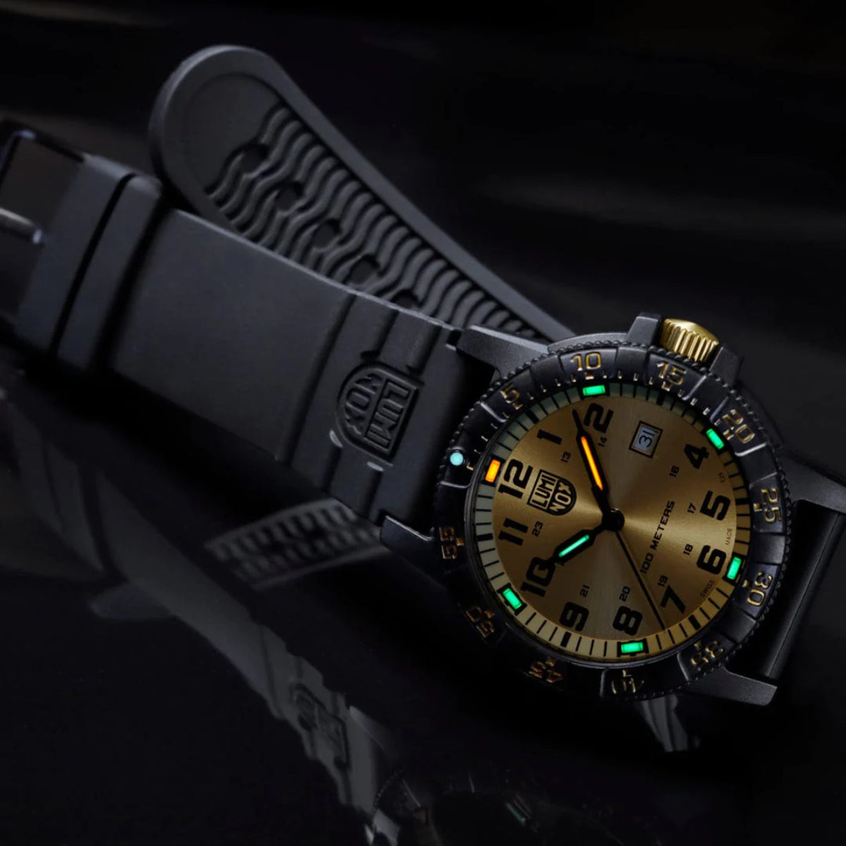 Luminox Leatherback Sea Turtle Giant Series Gold Dial Black PU Strap Men's Watch XS.0325.GP