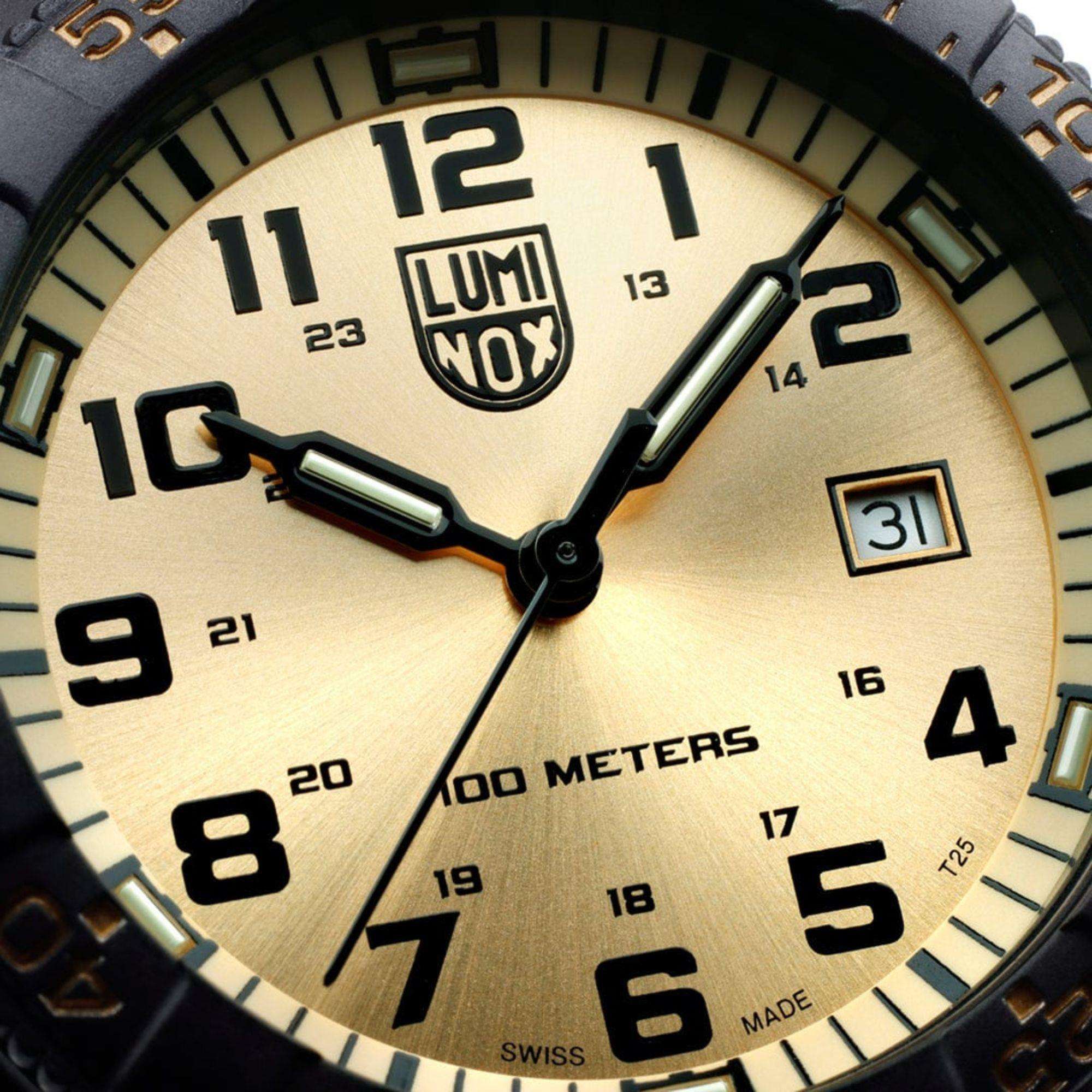 Luminox Leatherback Sea Turtle Giant Series Gold Dial Black PU Strap Men's Watch XS.0325.GP