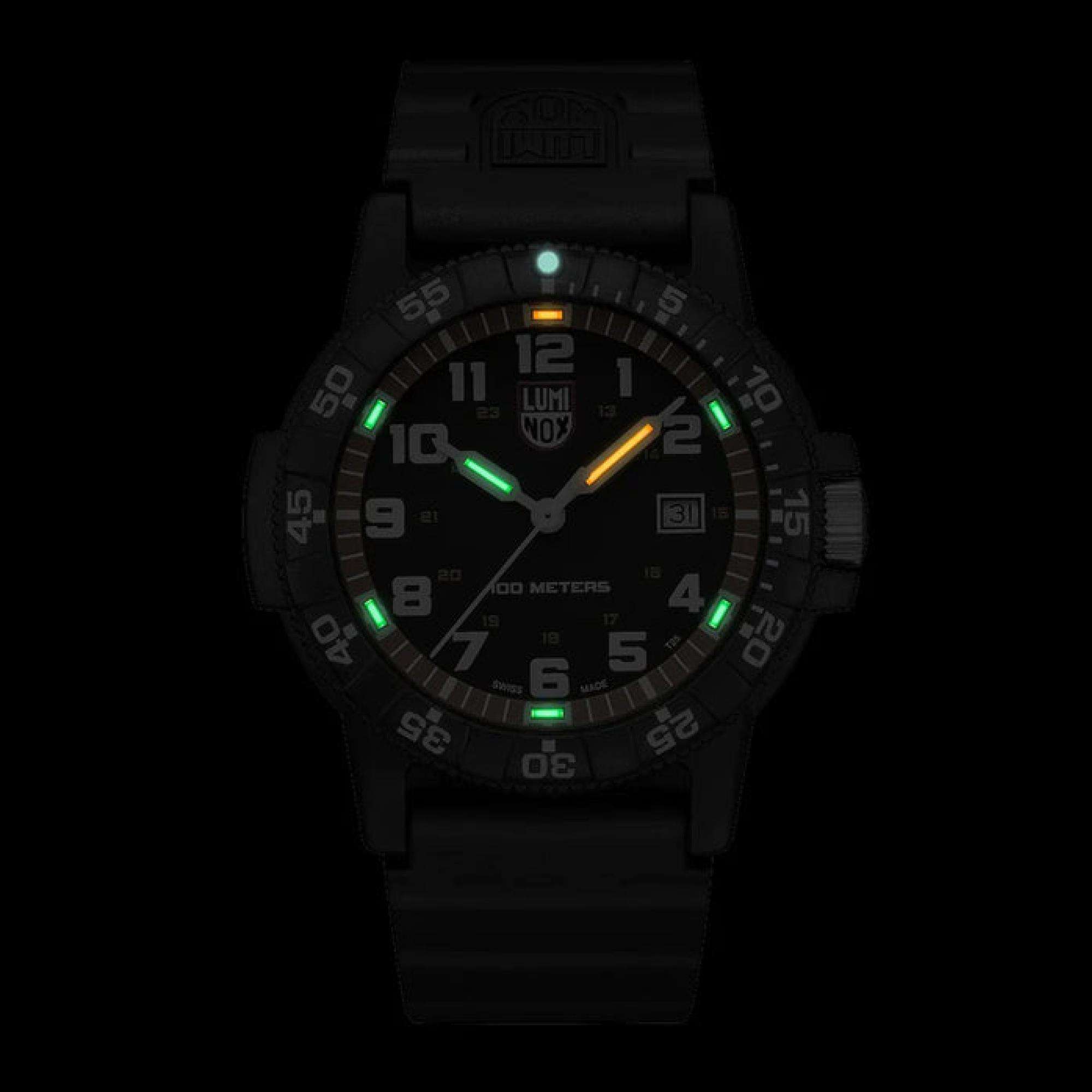 LEATHERBACK SEA TURTLE GIANT Black Dial Men's Watch 0320 SERIES XS.0329.1