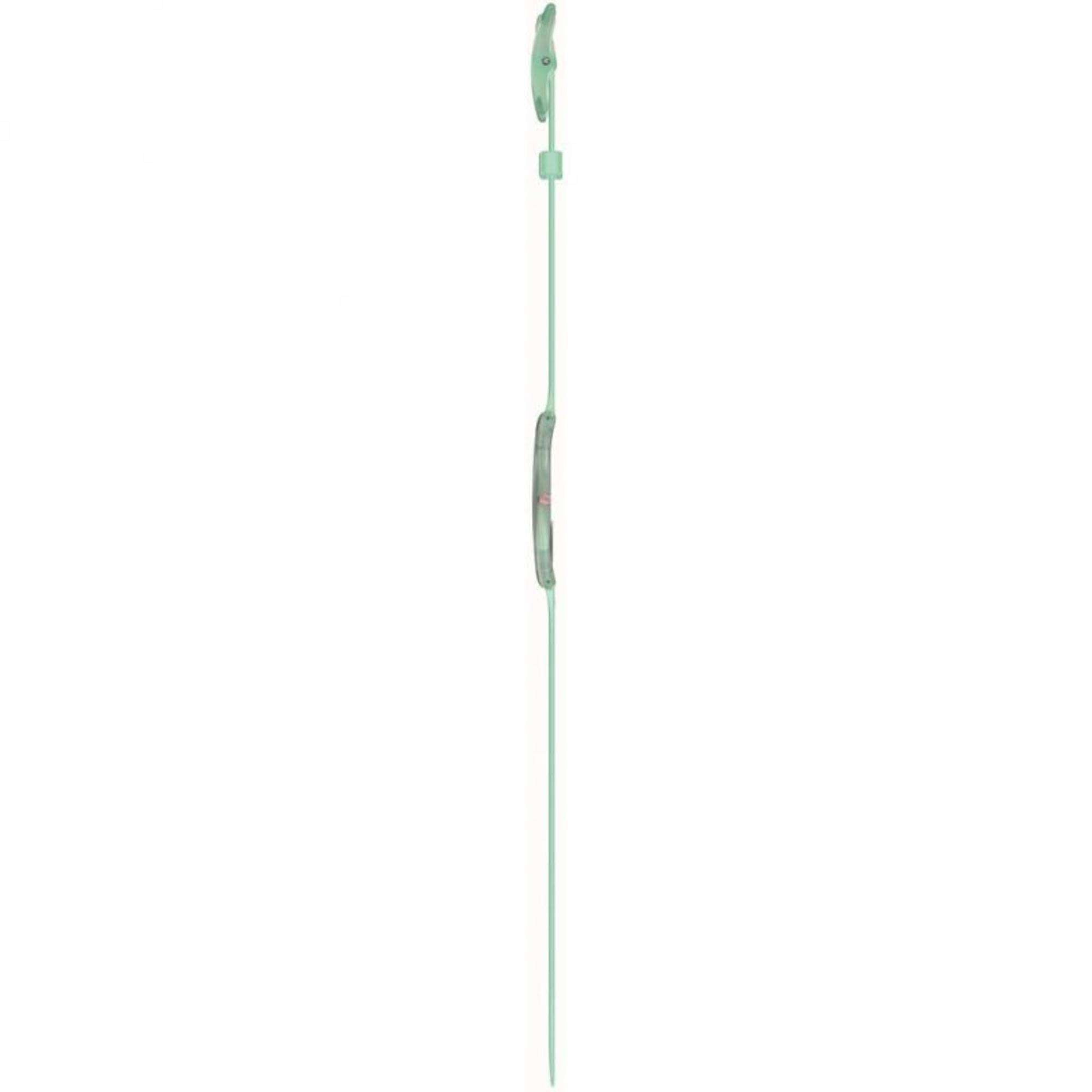 Swatch PASTELICIOUS TEAL Green Dial Unisex Watch SS08L100