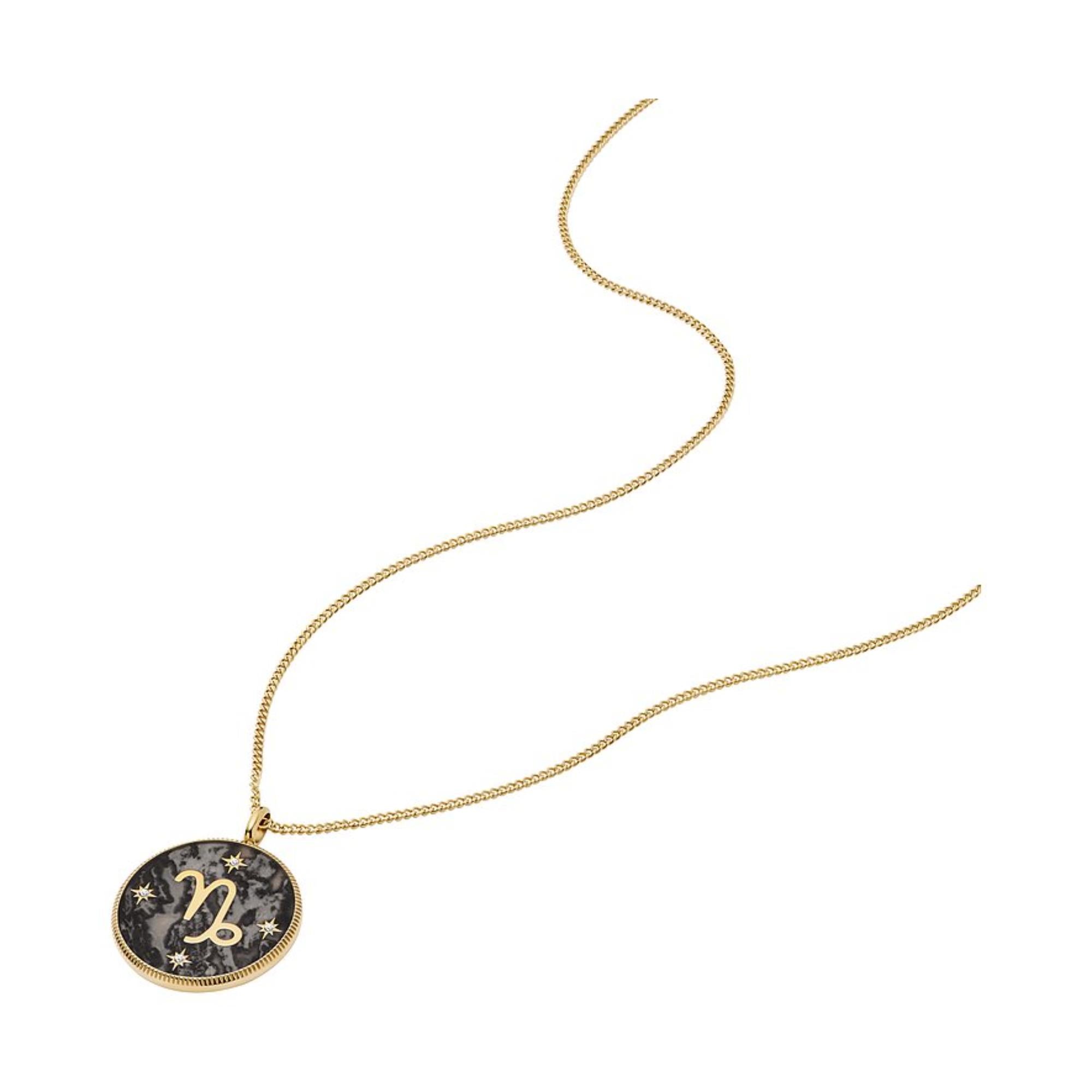 Fossil Written in the Stars Gold-Tone Stainless Steel Gray Hematite Capricorn Pendant Ladies Necklace JF04847710