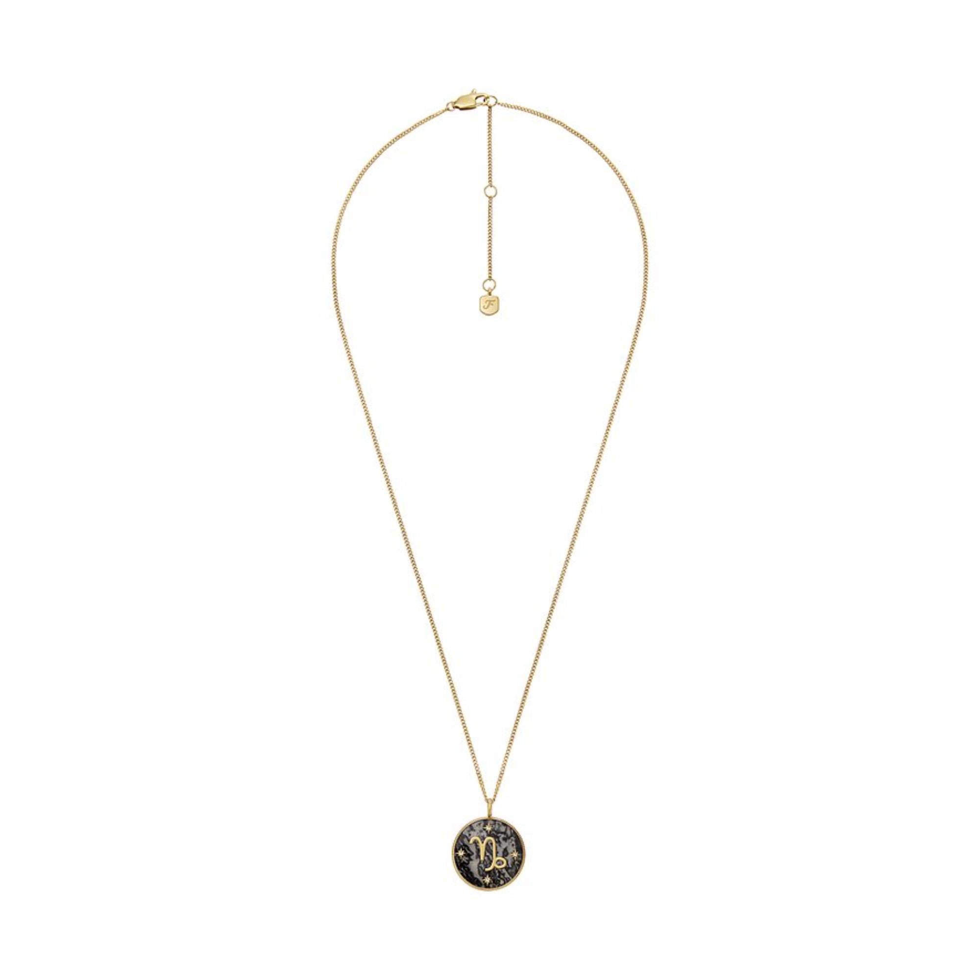 Fossil Written in the Stars Gold-Tone Stainless Steel Gray Hematite Capricorn Pendant Ladies Necklace JF04847710