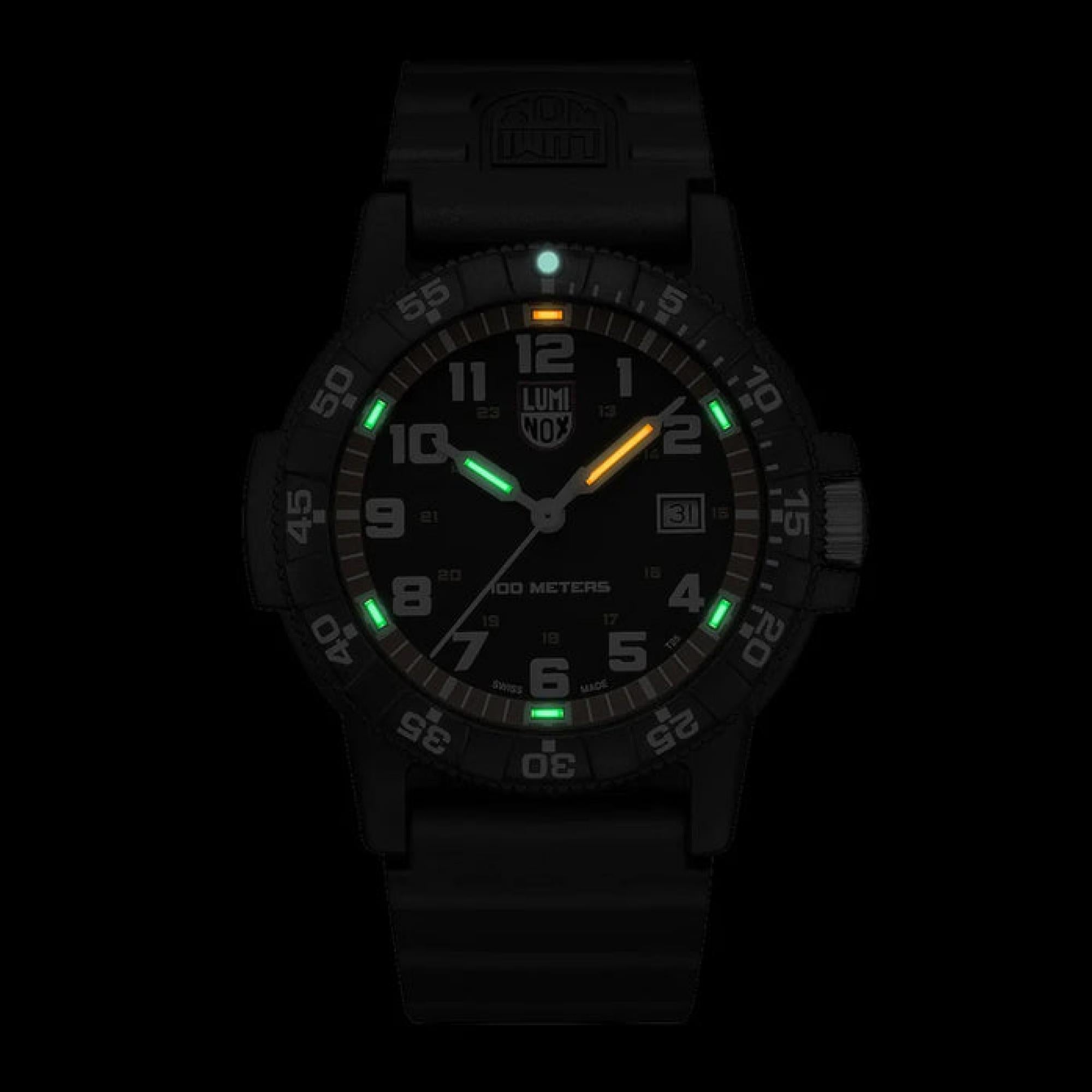 LEATHERBACK SEA TURTLE GIANT Black Dial Men's Watch 0320 SERIES XS.0329.1