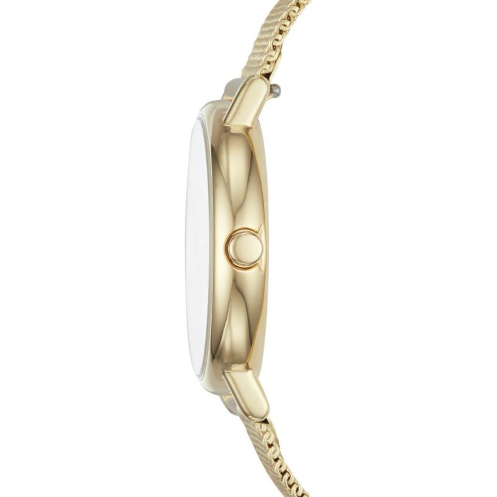 Skagen Signatur Lille White Silver Dial Women’s Watch SKW2693