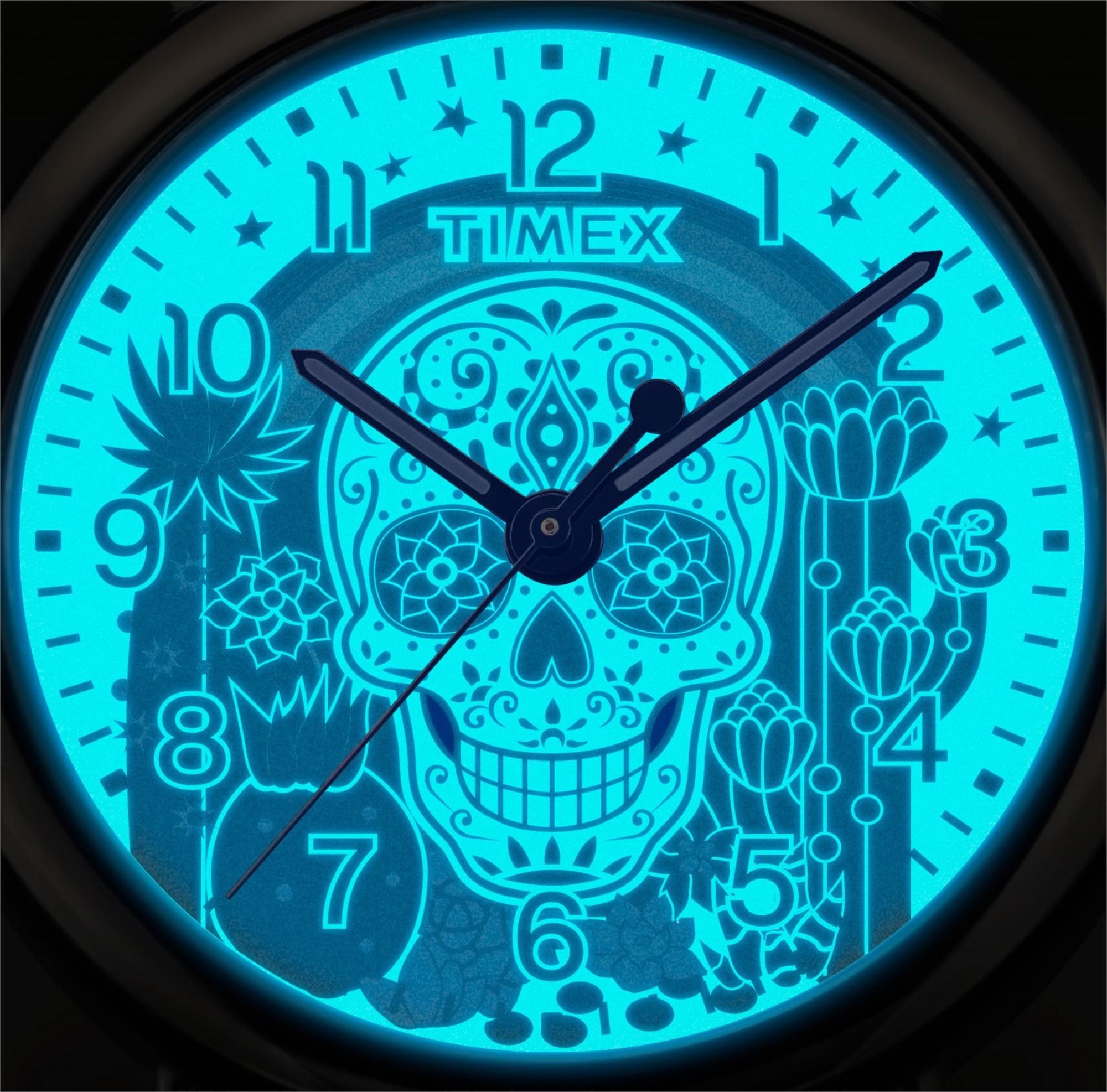 Timex Weekender Day of the Dead Quartz Multicoloured Dial Leather Strap Men's Watch TW2Y15900