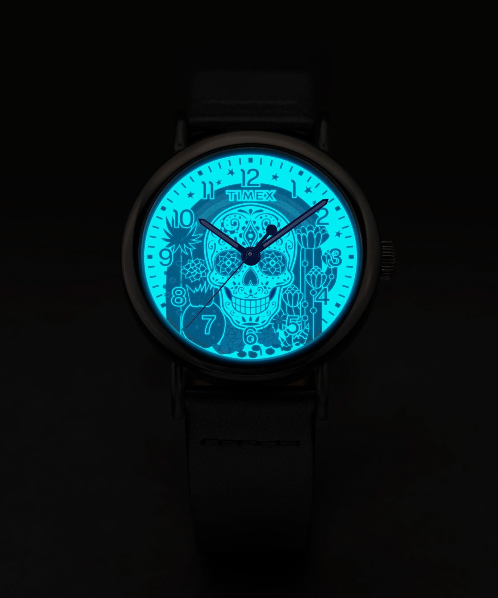 Timex Weekender Day of the Dead Quartz Multicoloured Dial Leather Strap Men's Watch TW2Y15900