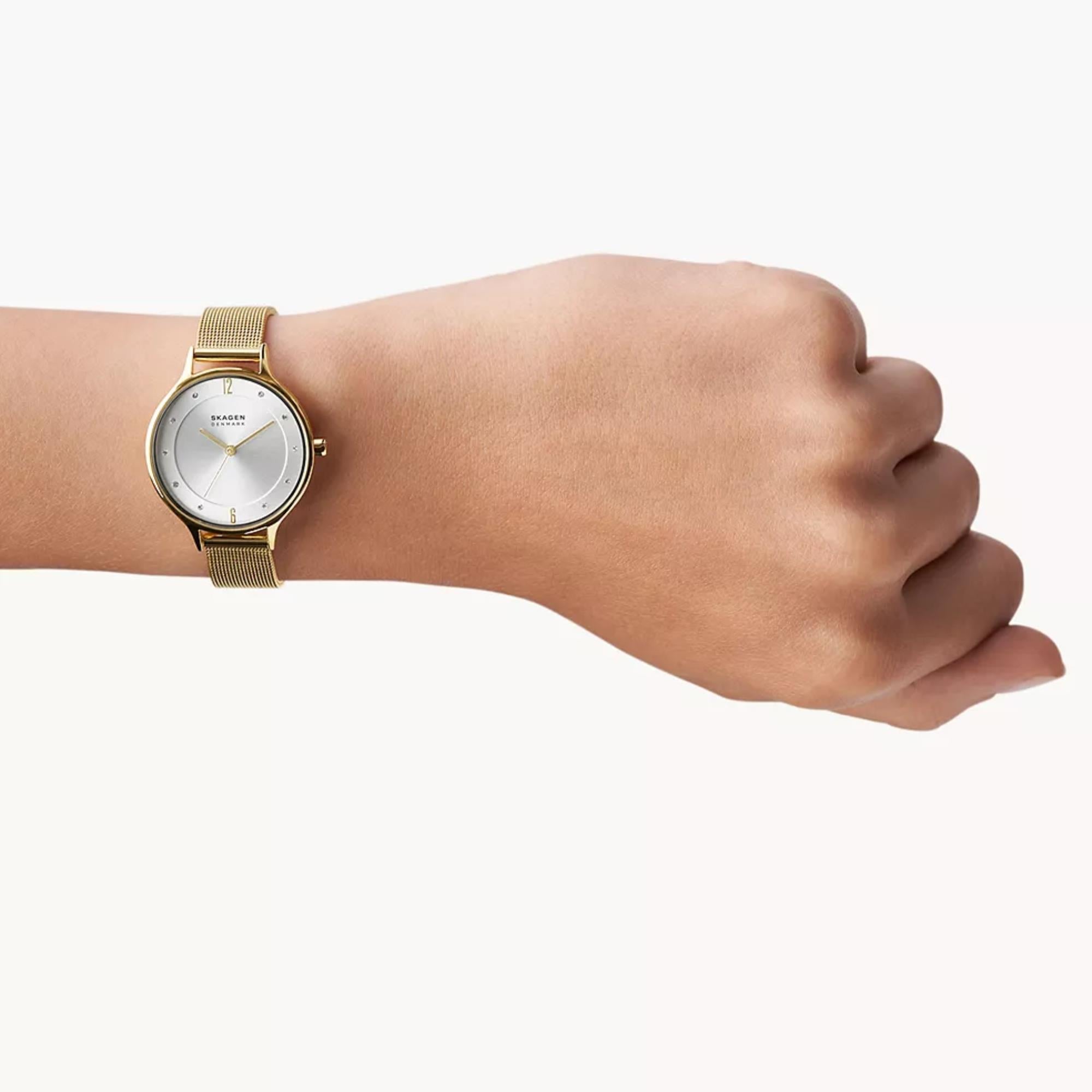 Skagen Anita Lille Quartz Silver Dial Steel Mesh Strap Women's Watch SKW2150