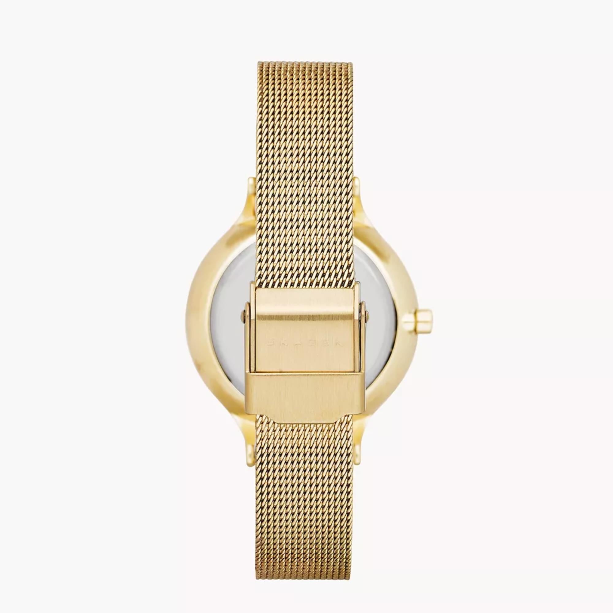 Skagen Anita Lille Quartz Silver Dial Steel Mesh Strap Women's Watch SKW2150