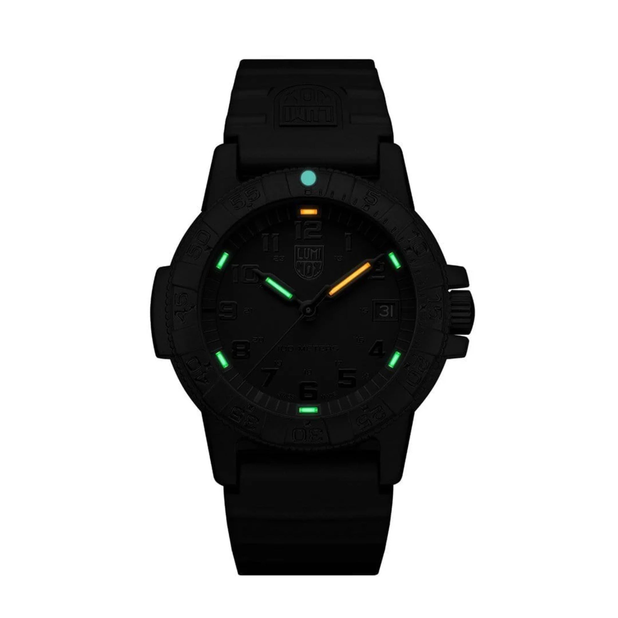Luminox Leatherback Sea Turtle 0300 CARBONOX Quartz Black Dial Unisex Watch XS.0301.BO.L