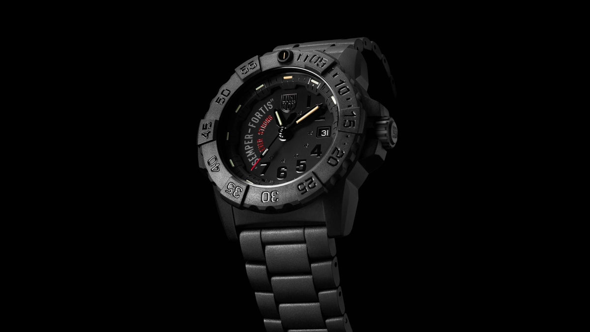 What is Luminox CARBONOX?