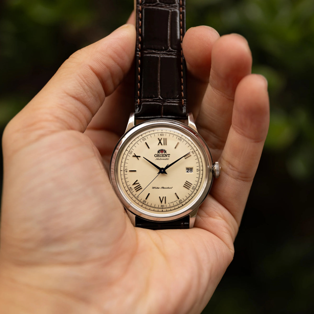 Orient Bambino II Classic Vintage Style Automatic Champagne Dial Leather Strap Men’s Dress Watch TAC00009N0