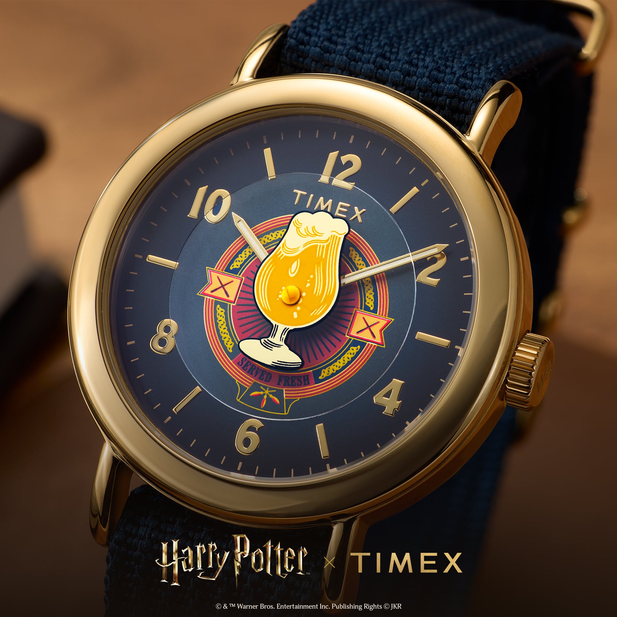 Timex Lab TW2Y76100 Harry Potter Butterbeer Men's Watch