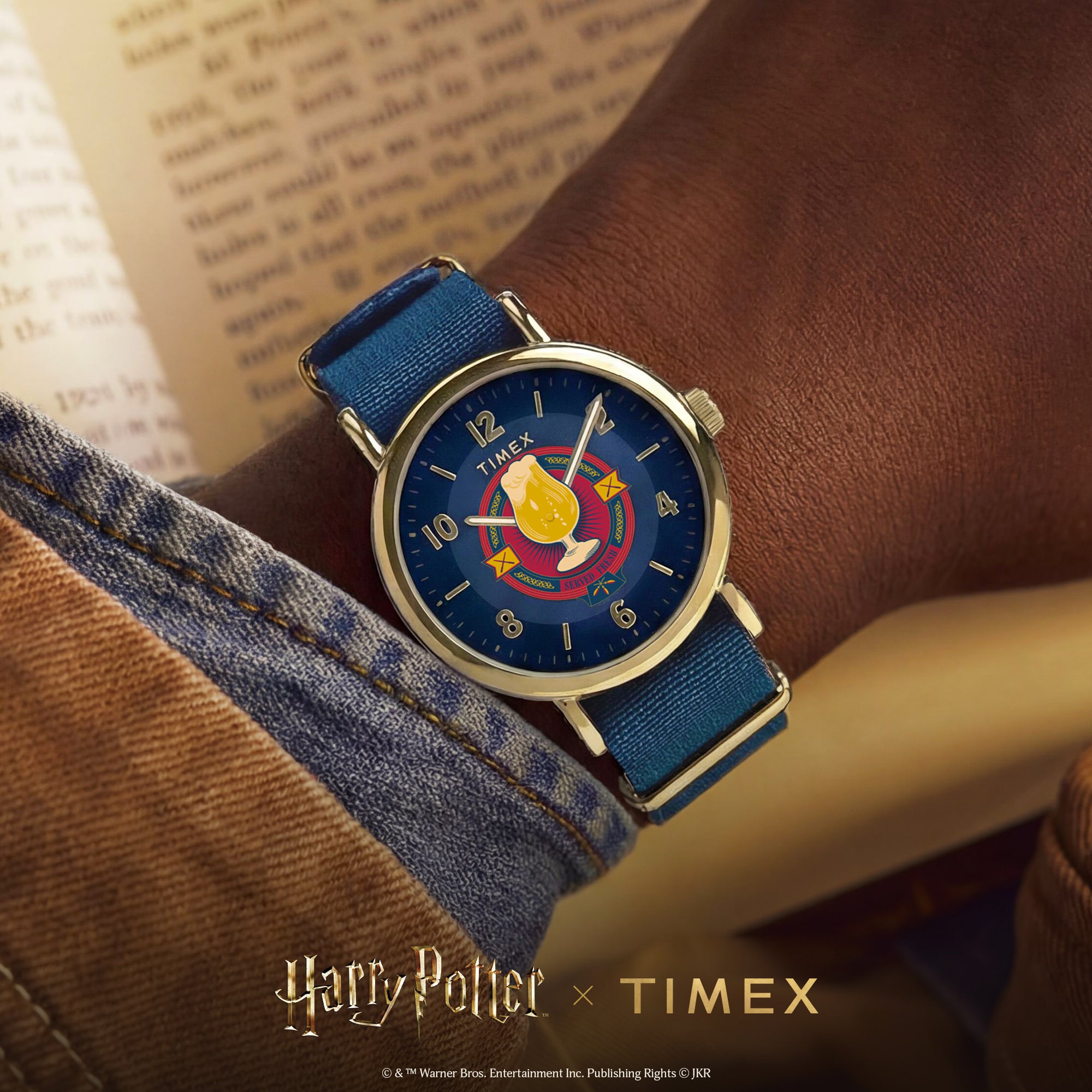 Timex Harry Potter x Timex Weekender 37mm Blue Dial Fabric Mens Quartz Watch TW2Y76100