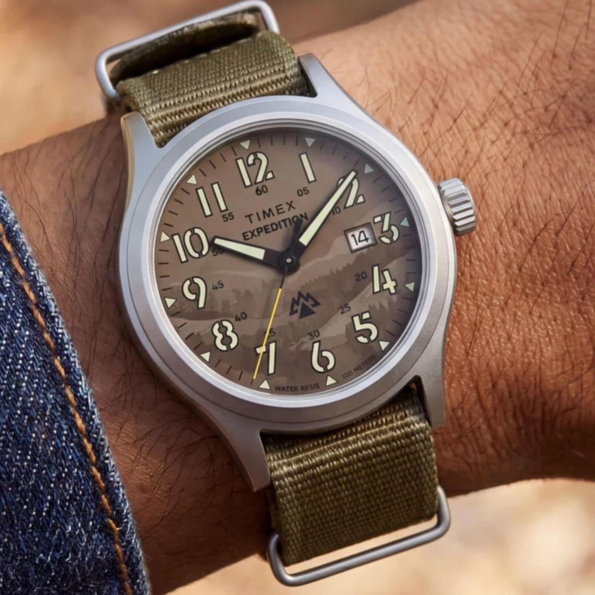 Timex Expedition Sierra 40mm Brown Dial Textile Mens Quartz Watch TW2Y89400